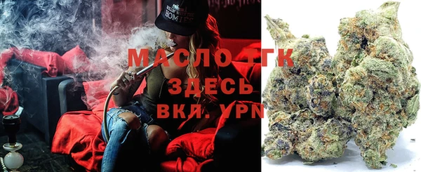 тгк Абаза
